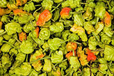 《瘦长鬼影：降临》10周年版10.18发售 使用虚幻5开发